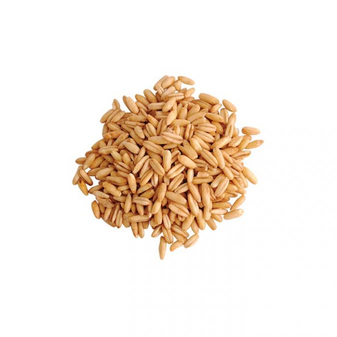 Avoine décortiquée bio - 5kg