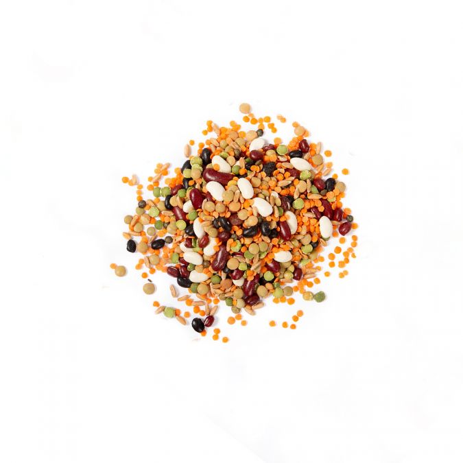 Mélange minestrone bio (Épeautre décortiqué, haricots blancs, haricots rouges Kidney, azukis , lentilles vertes, rouges, blondes, pois verts)