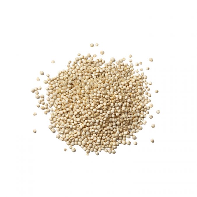 Quinoa blanc 5kg bio