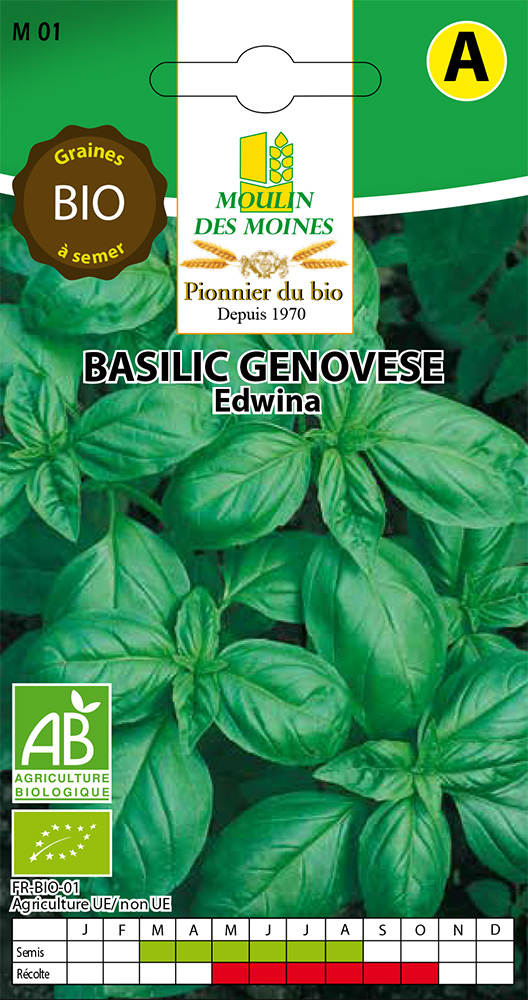 Semence basilic geno. edwina 1g bio