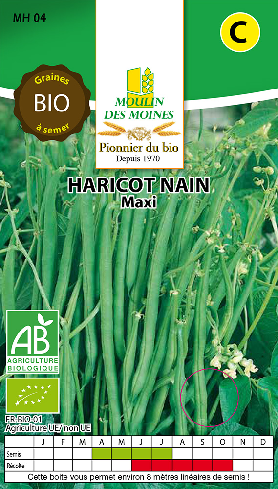 Semence haricots nains maxi 100g bio