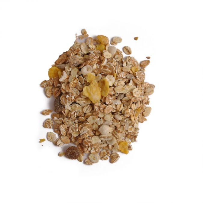 Muesli Sport (fruits et graines) 2.5kg bio